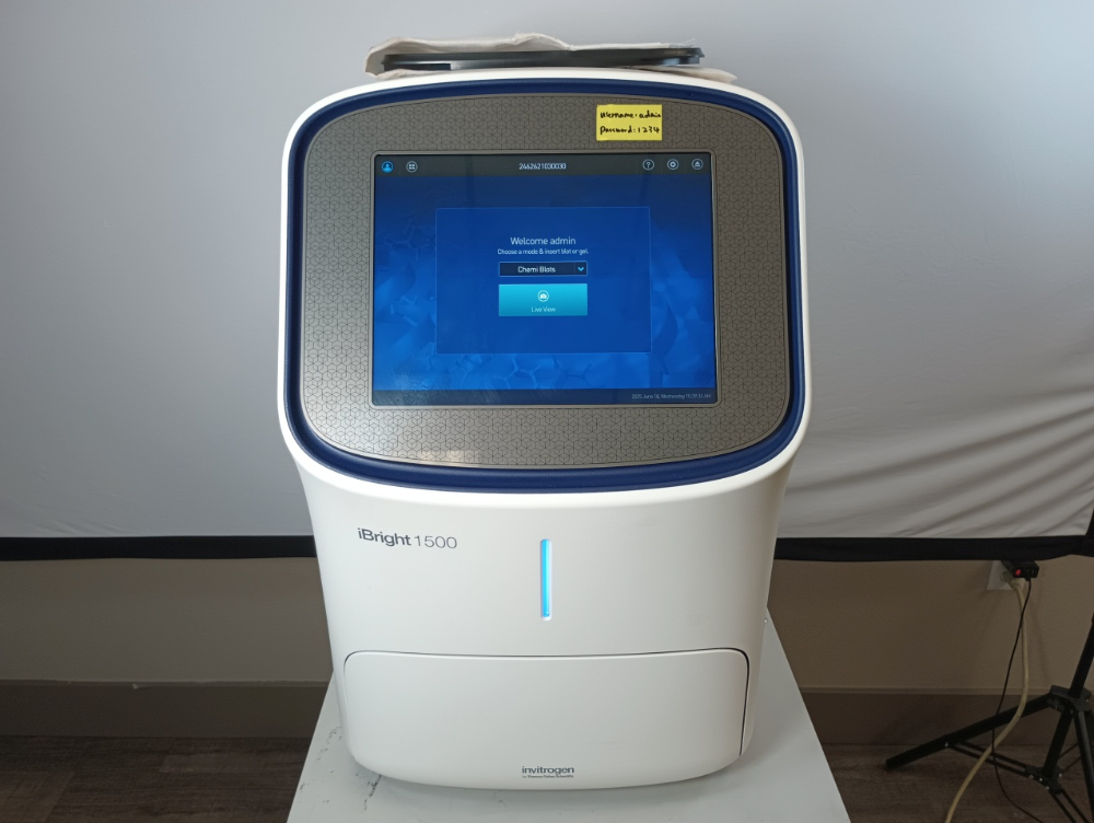 Image of Thermo Invitrogen iBright FL1500